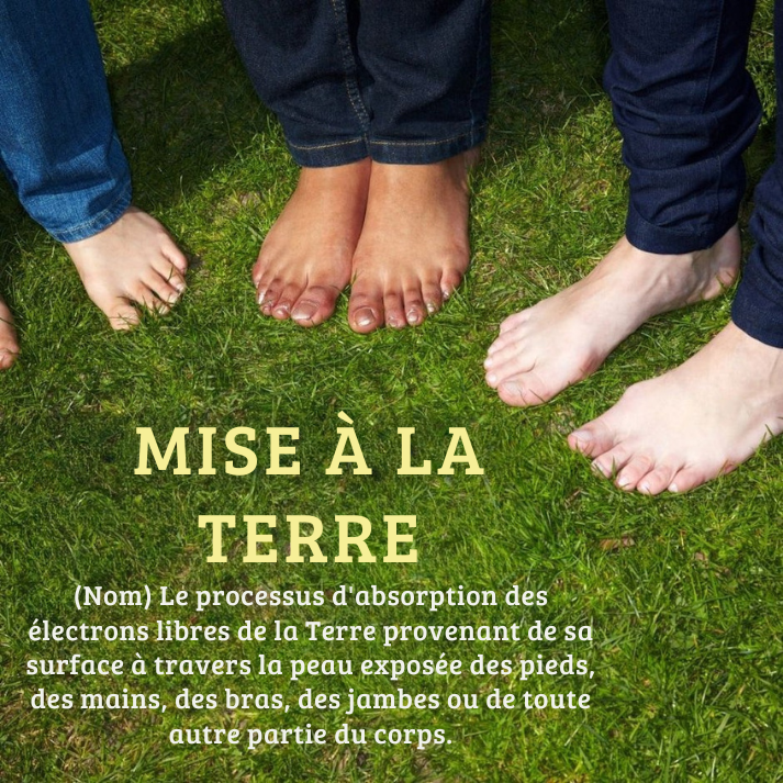 Norava™ Drap de Mise à la Terre